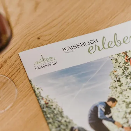 Apartamento Am Weinberg Boetzingen